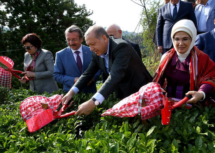 CHP’DEN DANIŞTAY BAŞKANINA,ÇAY TOPLAYARAK,CÜPPE İLİKLEYEREK HAKİMLİK OLMAZ