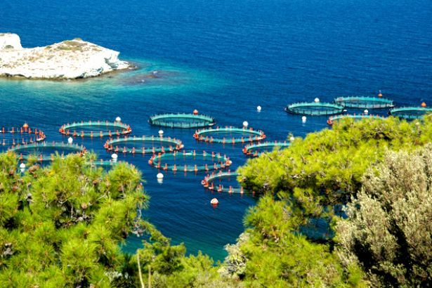 KARABURUN YAĞMASINA VALİ DESTEĞİ