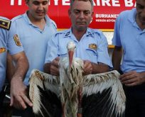 LEYLEĞİN ÖMRÜ TÜRKİYE’YE KADAR,SLOVAKLAR TAKİP CİHAZI TAKTI,TÜRKİYE’DE VURULDU