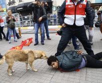 DÜZENE KÖPEKLİK ETMEYEN TEKMEYİ YER