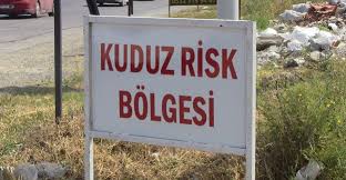 OSMANİYE’DE KUDUZ KARANTİNASI,TEHLİKE BÜYÜYOR